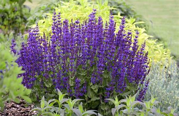 Low-maintenance Flowers For Beginners