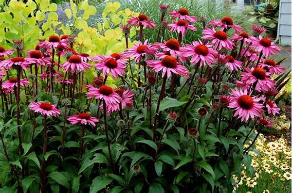 Low-maintenance Fragrant Garden Blooms