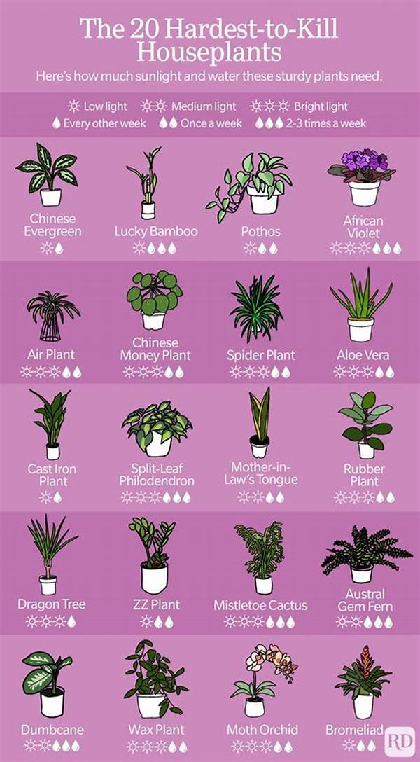 Low-maintenance Houseplants For Families