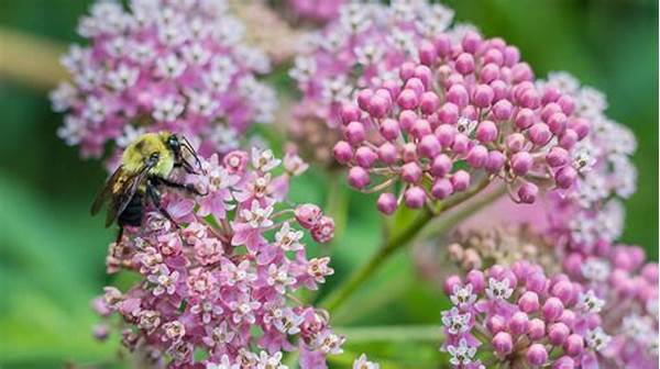 Native Flowers And Wildlife Sustenance