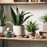 No-fuss Houseplants For Beginners
