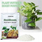 Nutrient Solutions For Cut Flowers