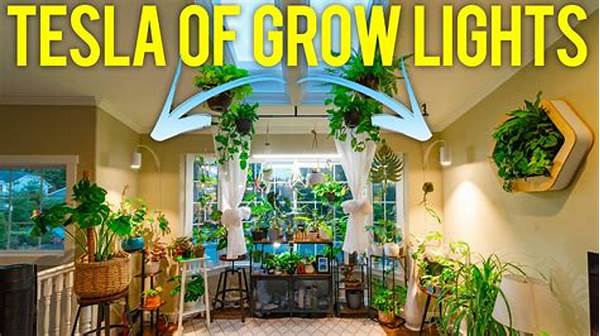 Optimal Lighting For Indoor Plants