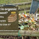 Organic Compost Benefits For Flowers