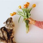 Pet-friendliest Blooms Floral Inspiration