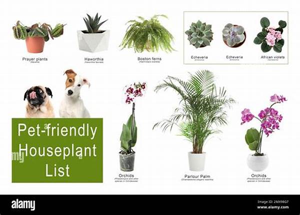 Pet-friendly Houseplant Options