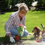 Pet-safe Gardening Tips