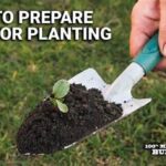 Preparing Garden Soil For Flower Blooms