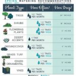Proper Irrigation Tips For Seasonal Blossoms