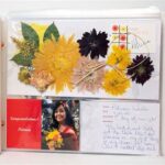Recommended Vendors For Flower Preservation Equipment