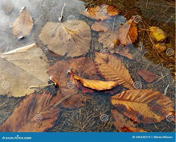 Remove Leaves Below Water