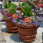 Renewable Resource Flower Containers