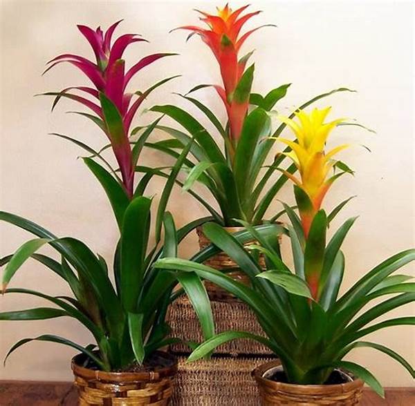 Safe Indoor Blooming Plants