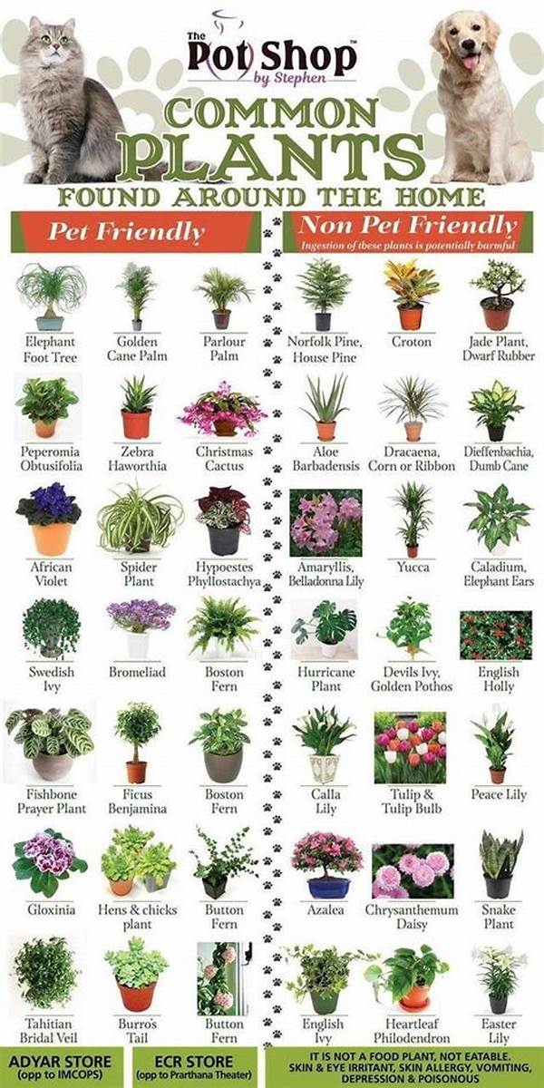 Safe Plants For Pet Households