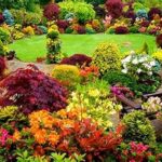 Starting A Flower Garden