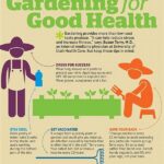 Stress-free Gardening Plants Advice