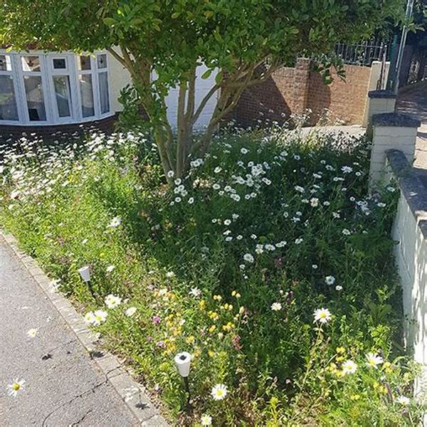 Sustainable Backyard Wildflower Solutions