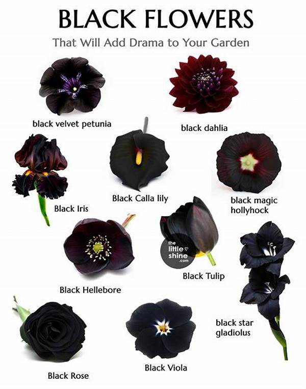 “symbolic Use Of Black Flowers”