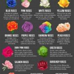 Symbolism Behind Black Petaled Flowers