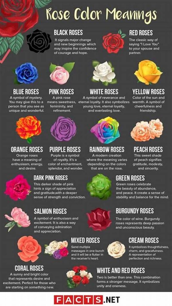 Symbolism Behind Black Petaled Flowers