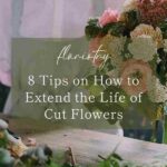 Techniques To Extend Cut Flowers’ Life