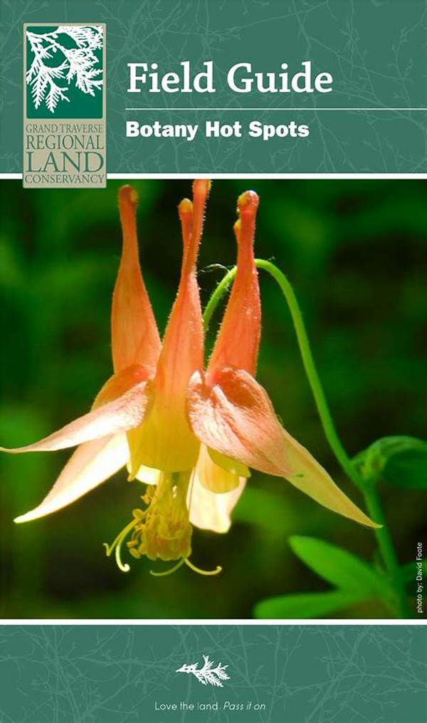 Top Field Guides For Botany Enthusiasts