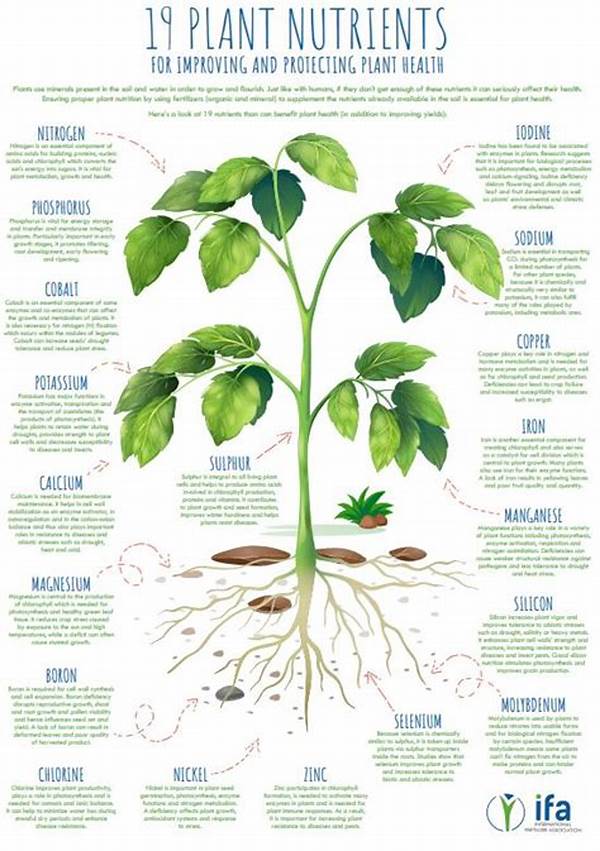 Top Nutrients For Flower Blooms