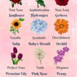 Unique Flowers For Romantic Gestures