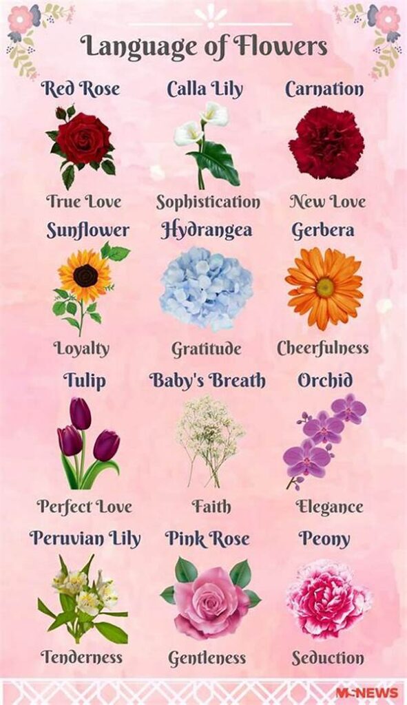 Unique Flowers For Romantic Gestures