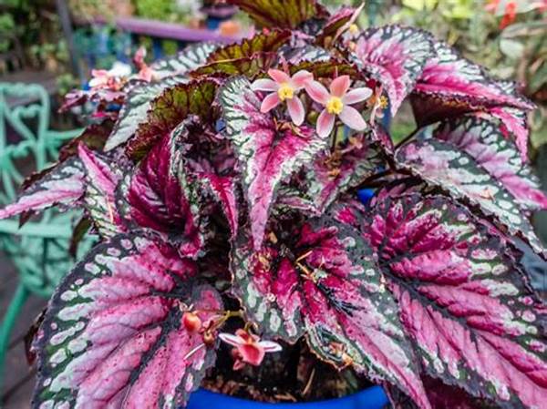User-friendly Blooming Plant Varieties