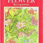 “wildflower Recognition With Books”