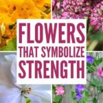 Wind Exposure And Flower Endurance