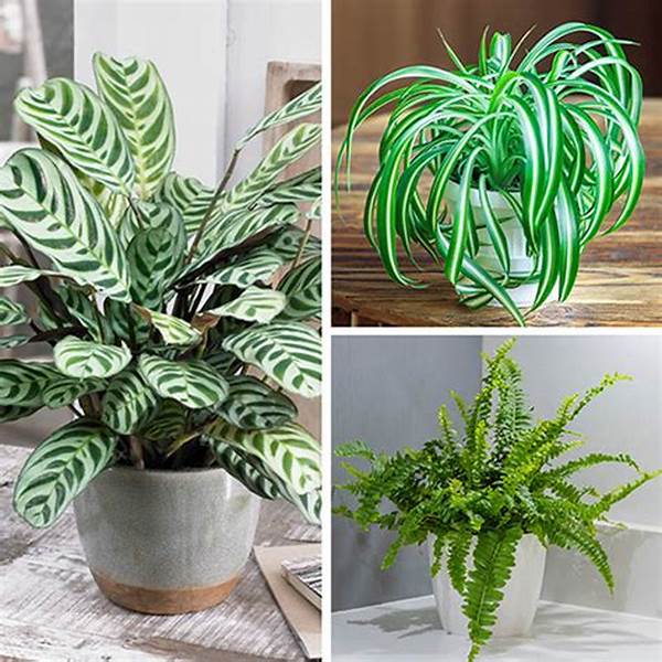 Animal-friendly Houseplant Selections