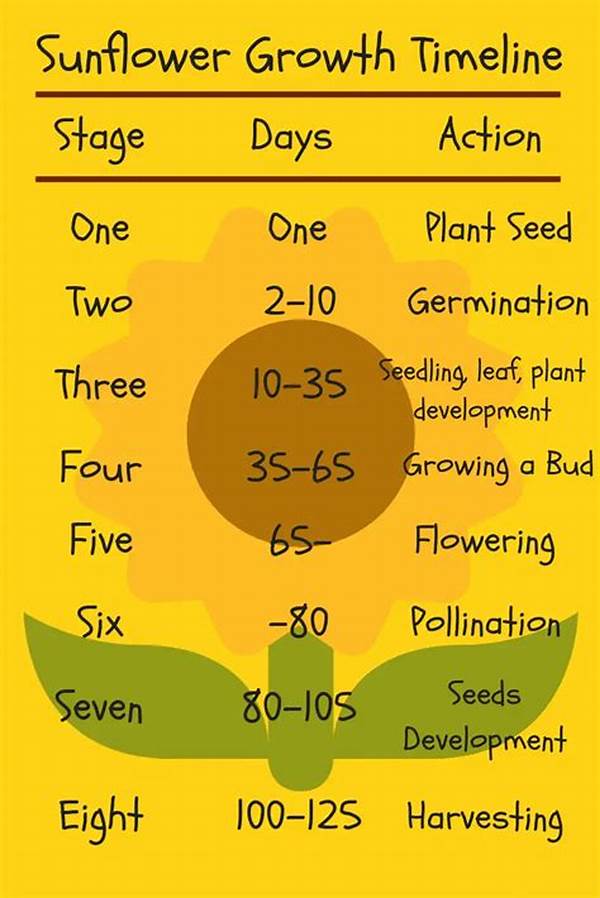 Appropriate Sunlight Duration For Floral Growth