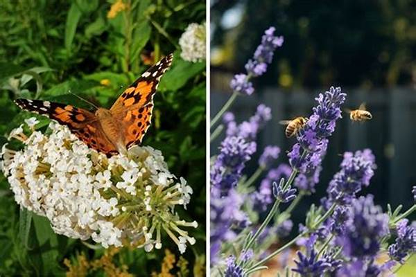 Attracting Bees And Butterflies Naturally