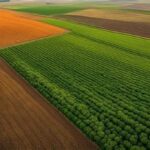 Avoiding Poor Soil Preparation