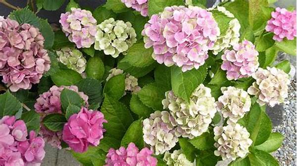Best Blooms For Young Gardeners