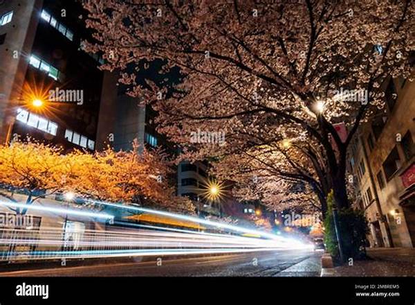 Best Light Exposure For Blossoms