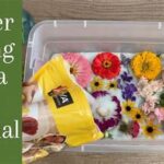 Best Materials For Flower Drying