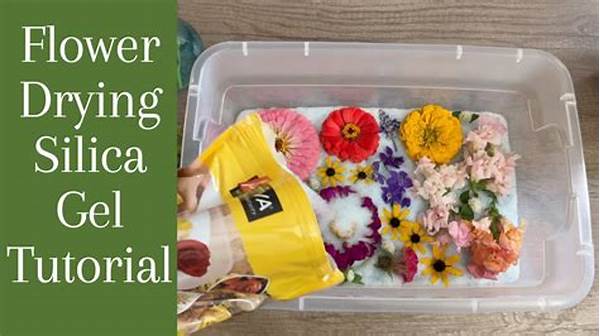 Best Materials For Flower Drying
