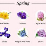 Best Time For Seasonal Flowers