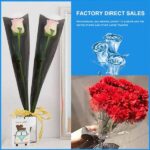 Biodegradable Bouquet Wrapping Ideas