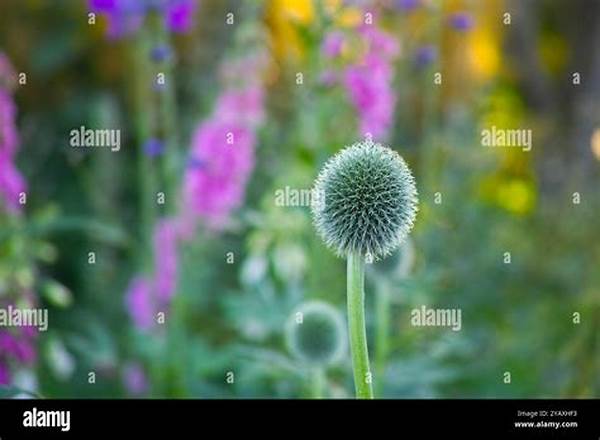 Biodiversity-promoting Spring Flora