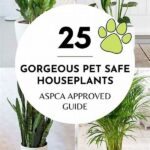 Cat And Dog Safe Greenery