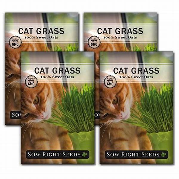 Cat-compatible Outdoor Floral Varieties