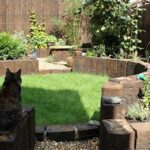 Cat-friendly Garden Design Tips