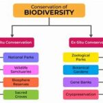 Conservation Strategies For Endemic Flora