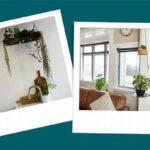 “creative Houseplant Display Ideas”