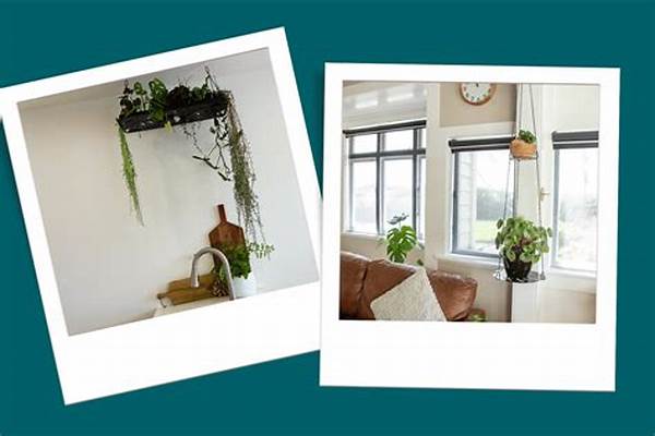 “creative Houseplant Display Ideas”