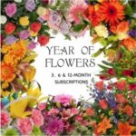 Curated Bouquets Delivered Every Month